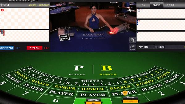 【카지노후기】